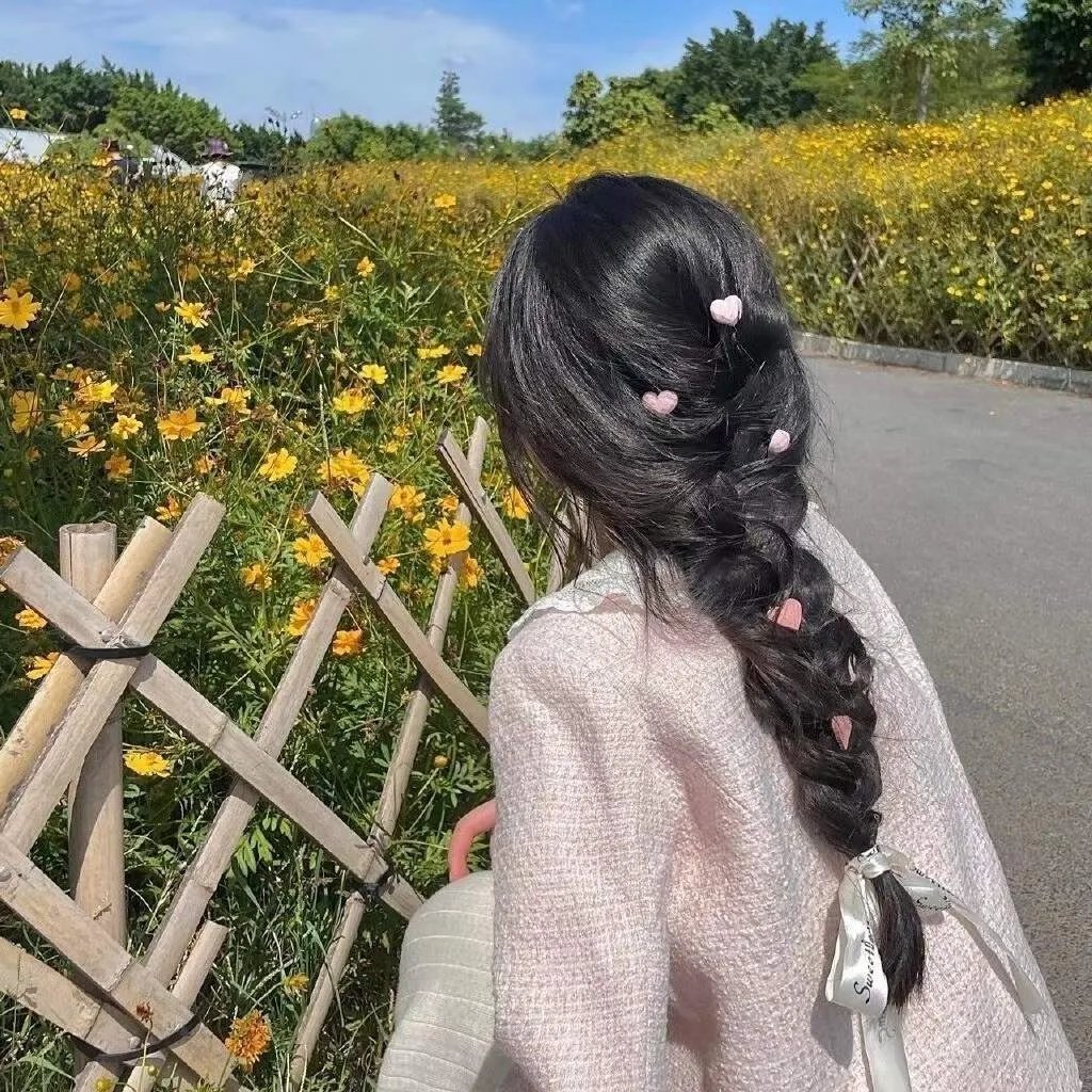 波尔卡的猪